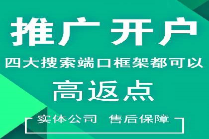 SEM托管公司案例分析：实战技巧全解析